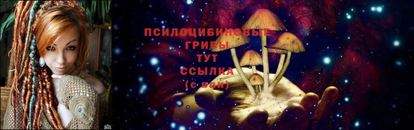 ПСИЛОЦИБИНОВЫЕ ГРИБЫ Ельня