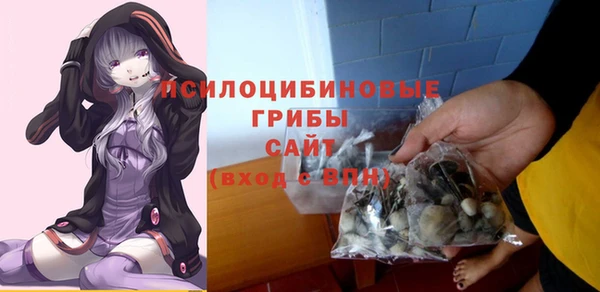 твердый Дмитриев