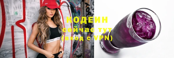 ПСИЛОЦИБИНОВЫЕ ГРИБЫ Ельня