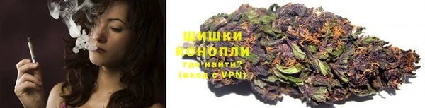 ПСИЛОЦИБИНОВЫЕ ГРИБЫ Ельня