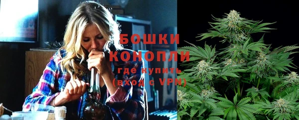 ПСИЛОЦИБИНОВЫЕ ГРИБЫ Ельня