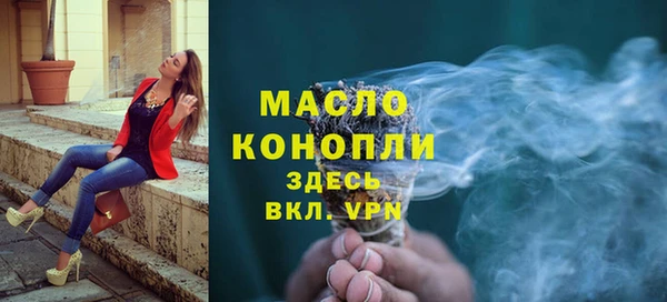 индика Заводоуковск